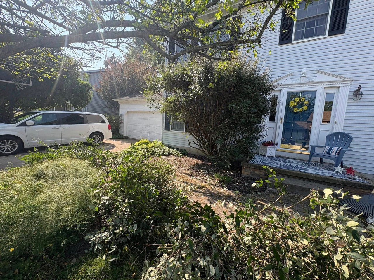 Front garden during clearing before a planting refresh